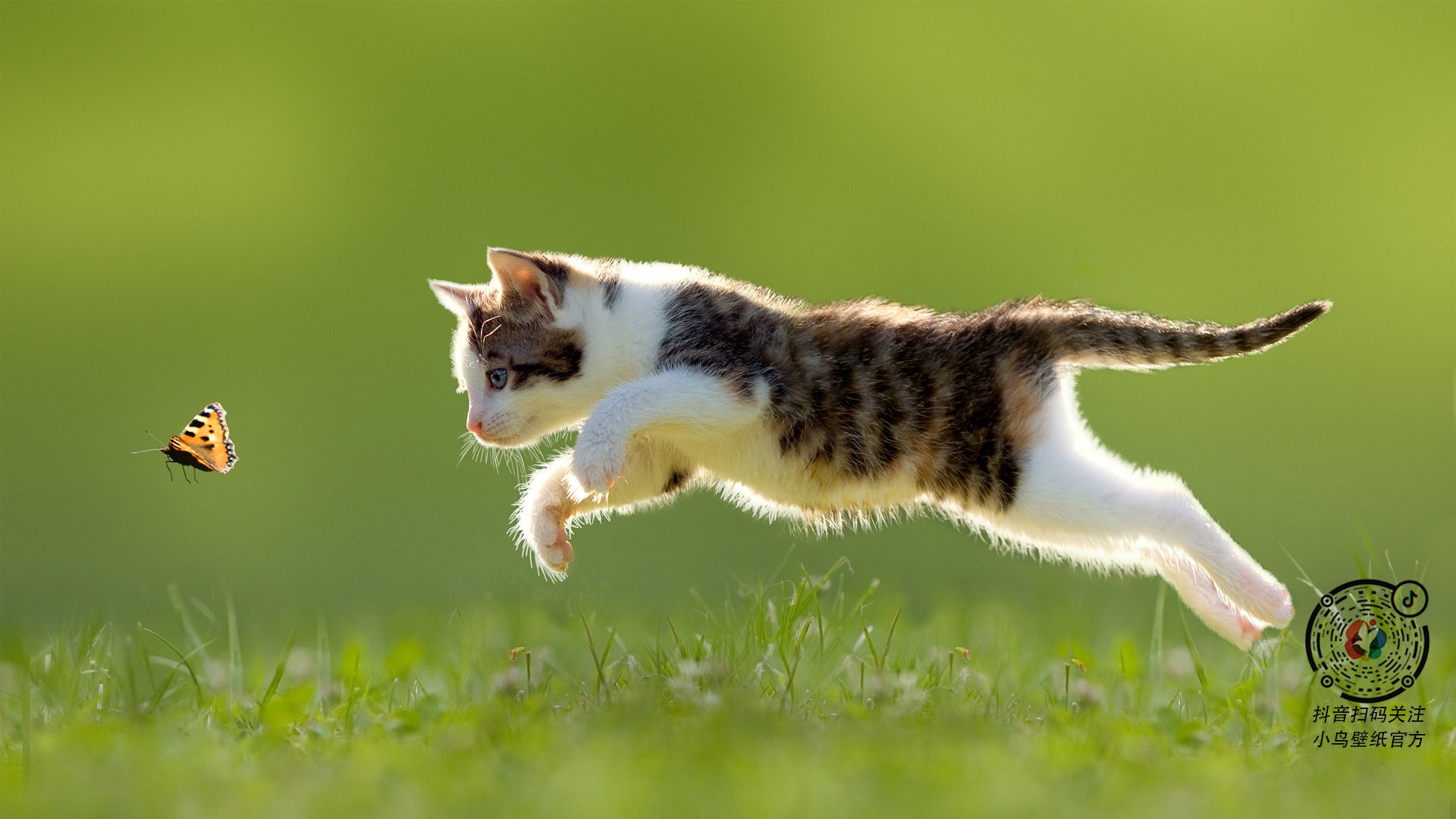 爱游戏体育-逆袭时刻，灰熊21分大逆转福建，陶汉林31+23刷新历史纪录