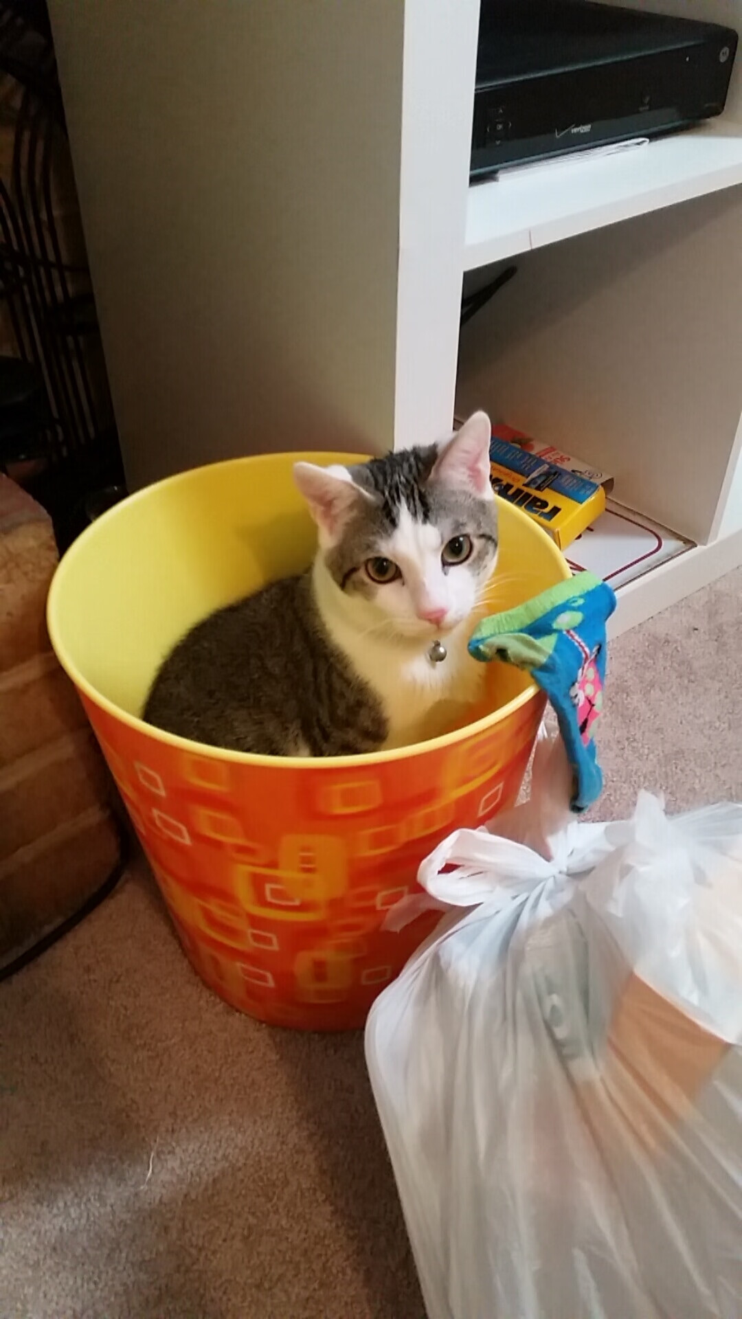 爱游戏体育-索伯车队险胜红牛二队，诺里斯刷新纪录闪耀F1赛场