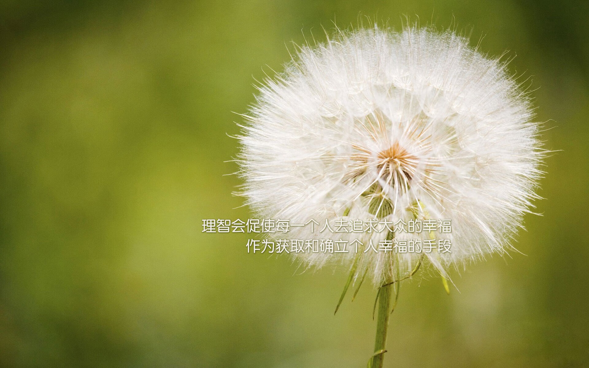 冲突与征服,楚阿梅尼的火热,映照西班牙的伪与险