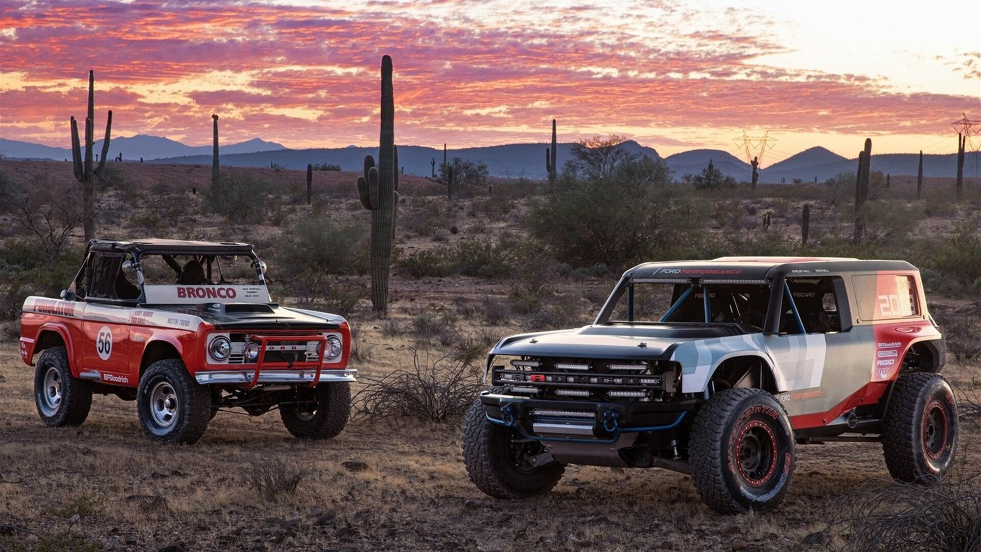 当公牛之盾被国王长矛刺穿,切特在血泊中加冕关键先生