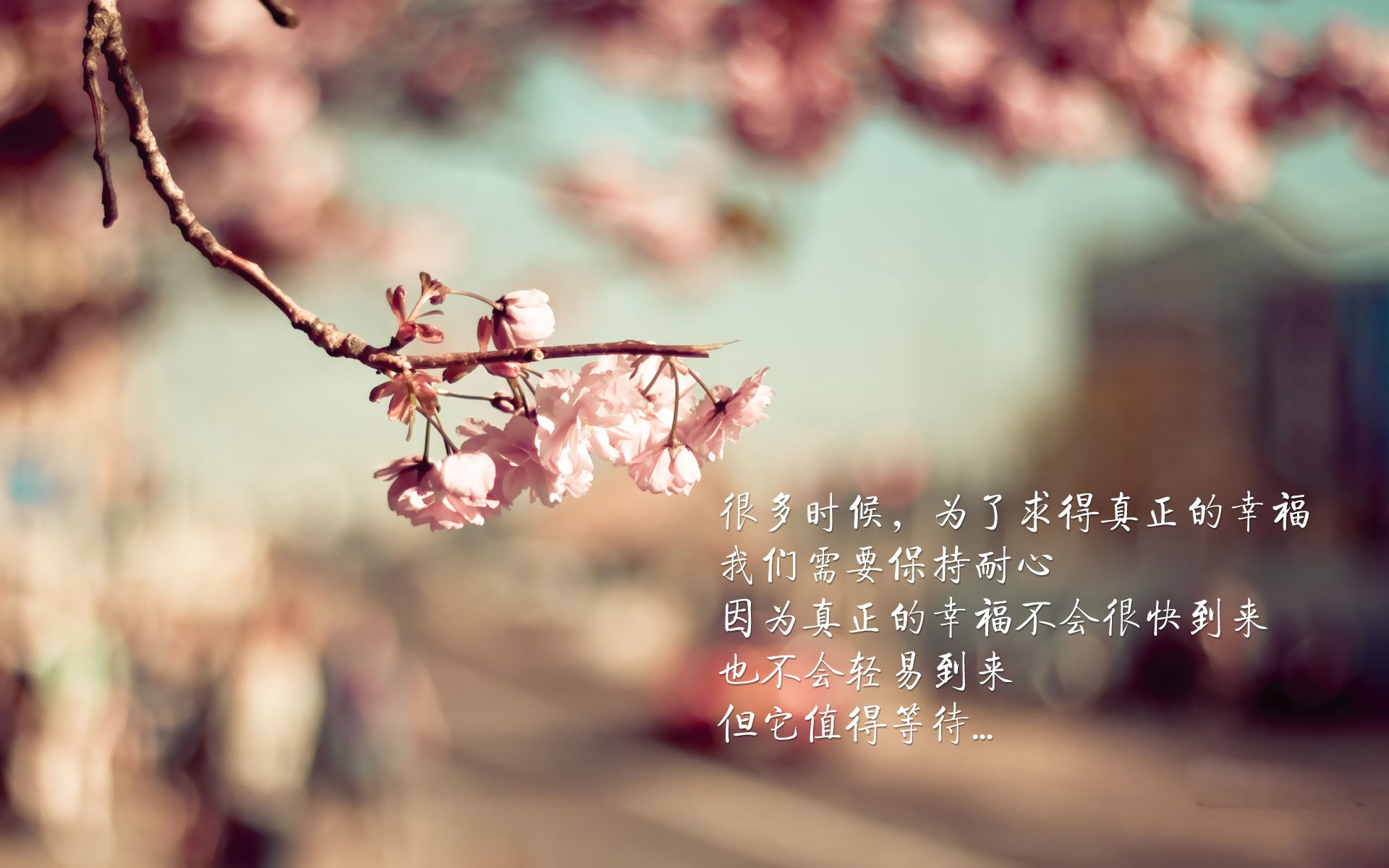 徒步穿越明尼苏达,步行者关键战突围森林狼,欧文打出统治级数据