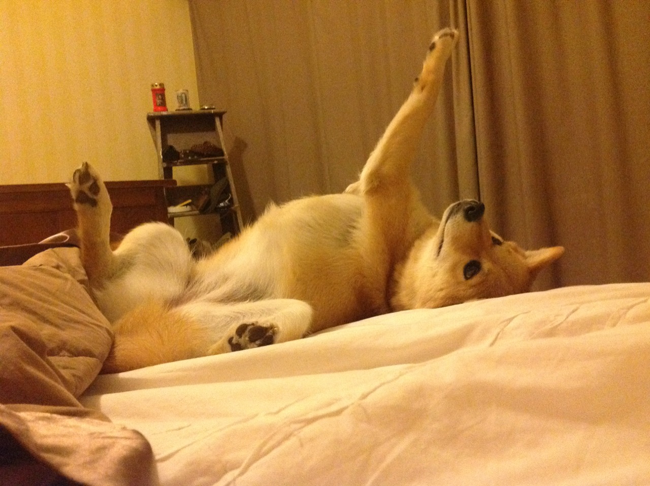 神格觉醒，罗德里戈抢七夜雕刻的永恒碑文