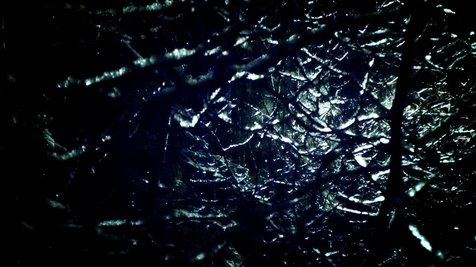 小麦田里的角斗，塞内加尔收割袋鼠军团，卡瓦哈尔奥运周期关键战接管权杖