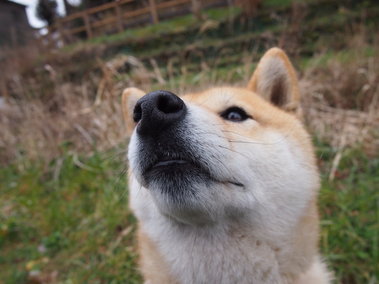 绿茵场上的独裁者，本泽马如何用一场虚构的跨界友谊赛，重新定义掌控的边界