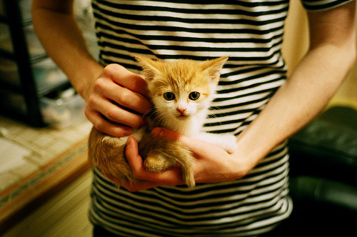 金色闪电,奥利维耶如何以南非之魂统御红牛竞技场