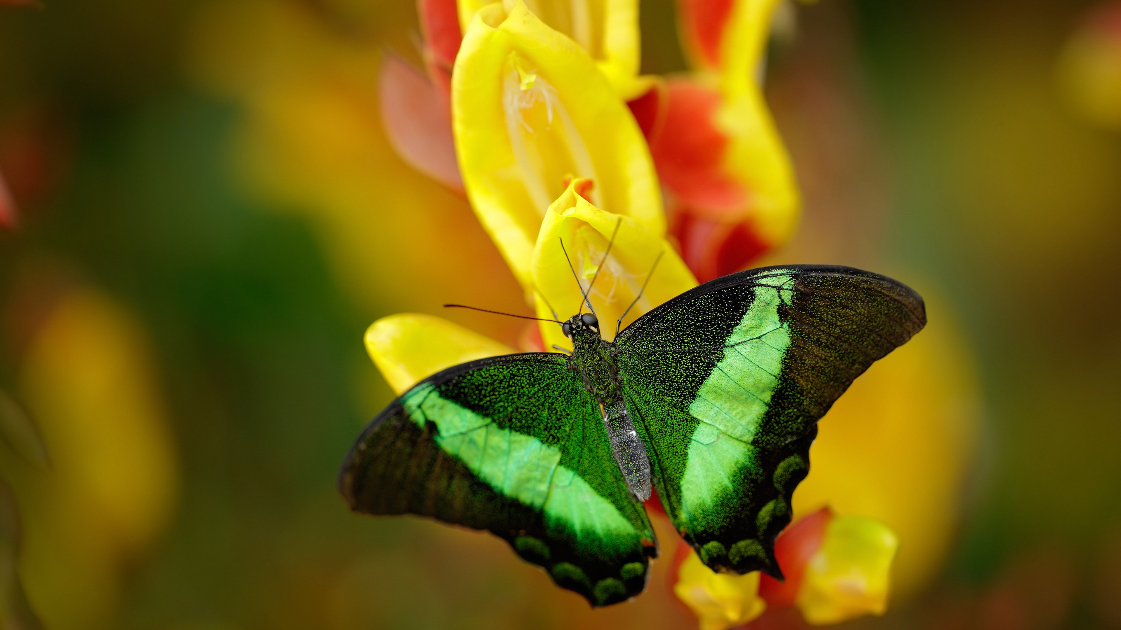 旧神隐退，新神临世，NBA季后赛之夜的权杖交接