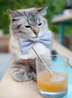 1.铁血马竞碾碎韩国防线,巴尔韦德一锤定音成欧冠关键先生