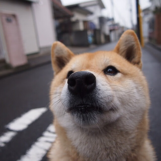 死神的镰刀不会收回，杜兰特42分钟超神，雷霆从费城悬崖边抢回胜利