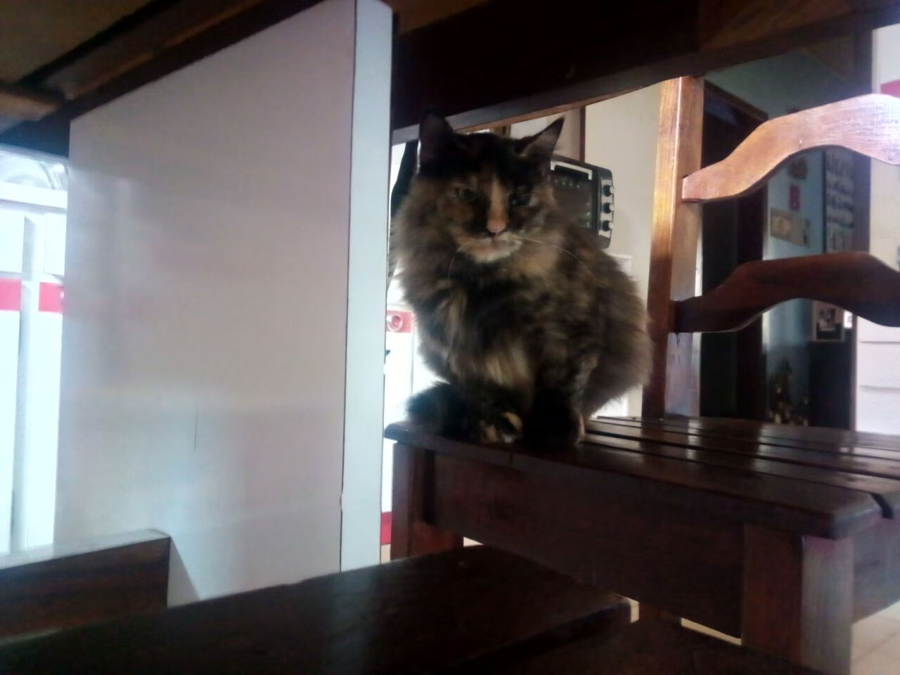 广厦队VS活塞，当欧文将平凡碰撞点燃为不朽传奇