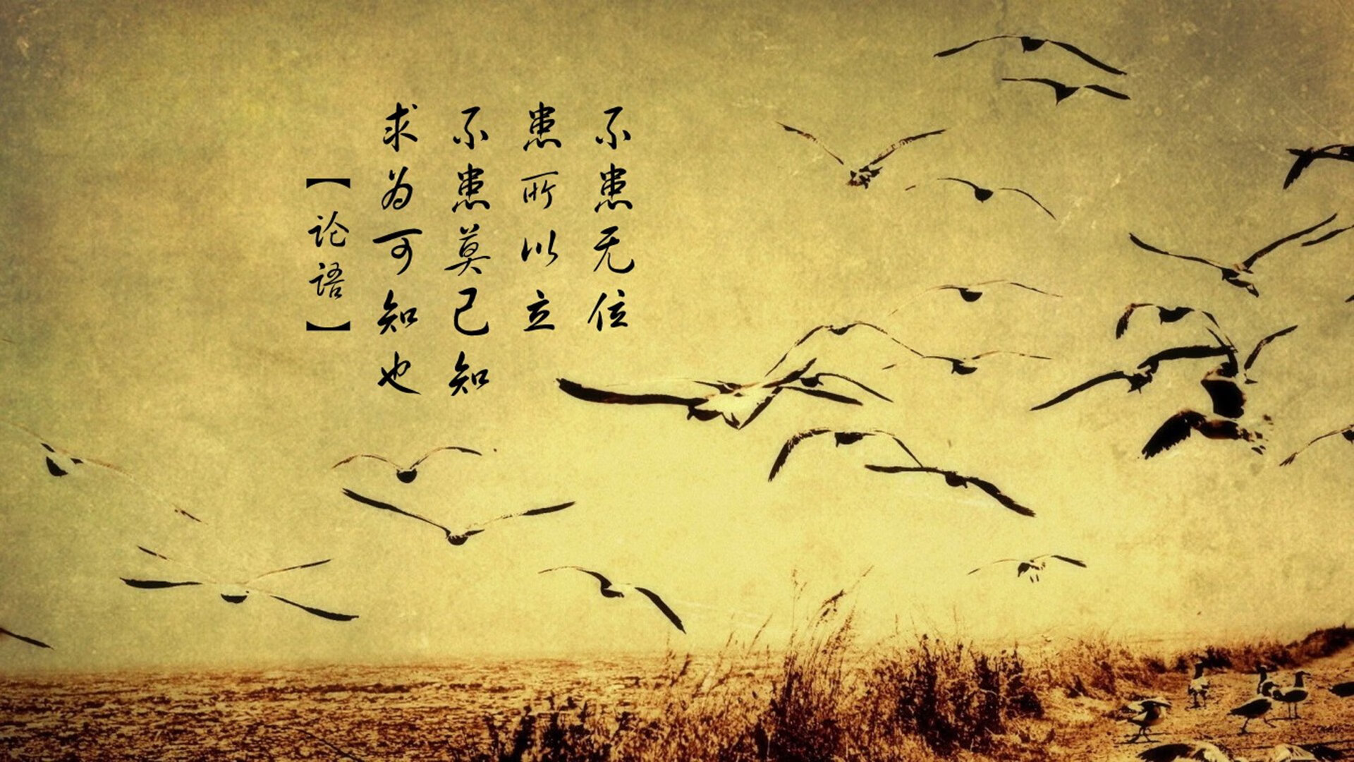 当梅西没有出场，当C罗哭着离开，巴尔韦德的爆发与摩洛哥的冷门背后