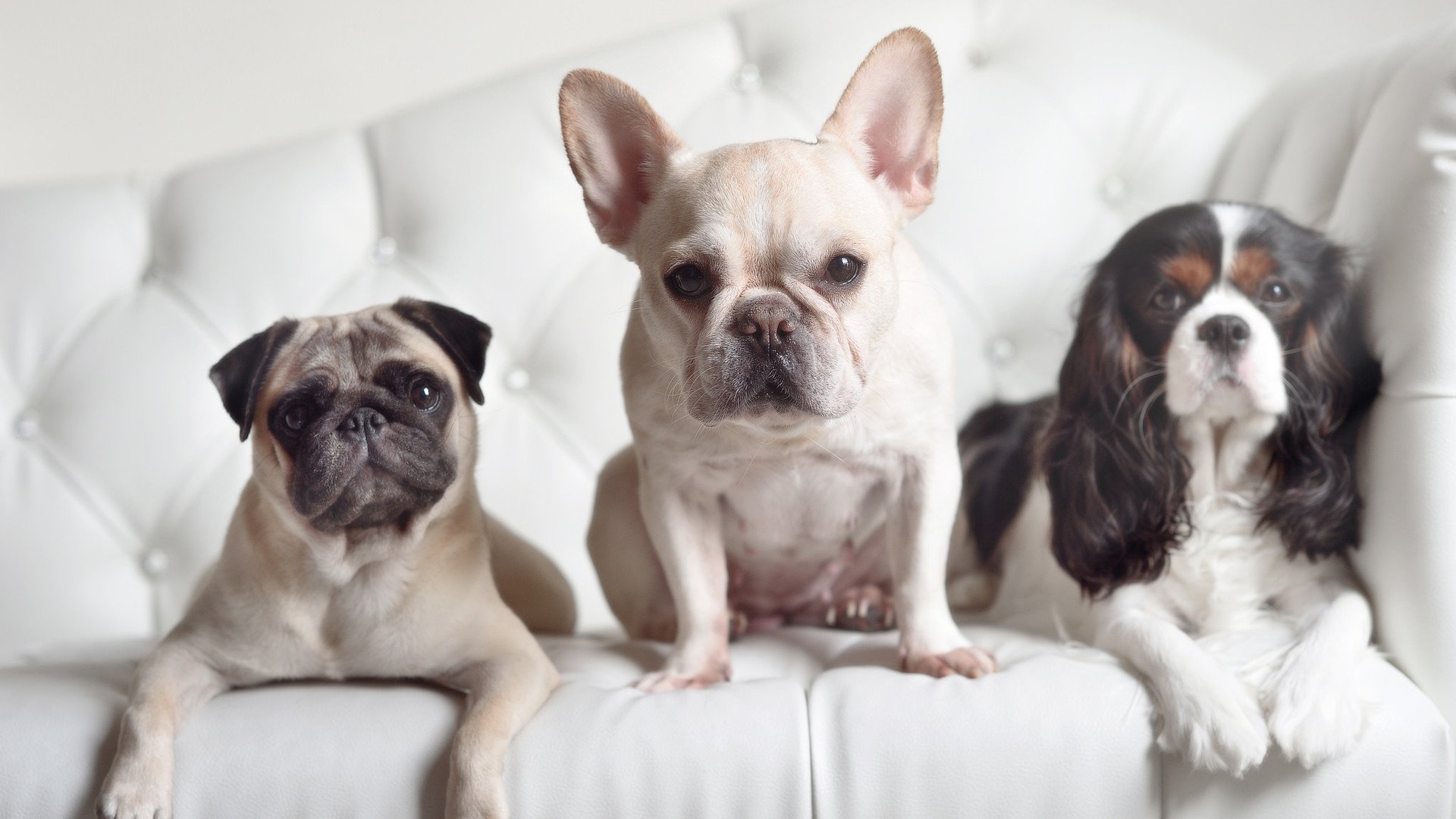 爱游戏官网-逆袭时空，当库里披上紫金战袍，湖人打穿雷霆