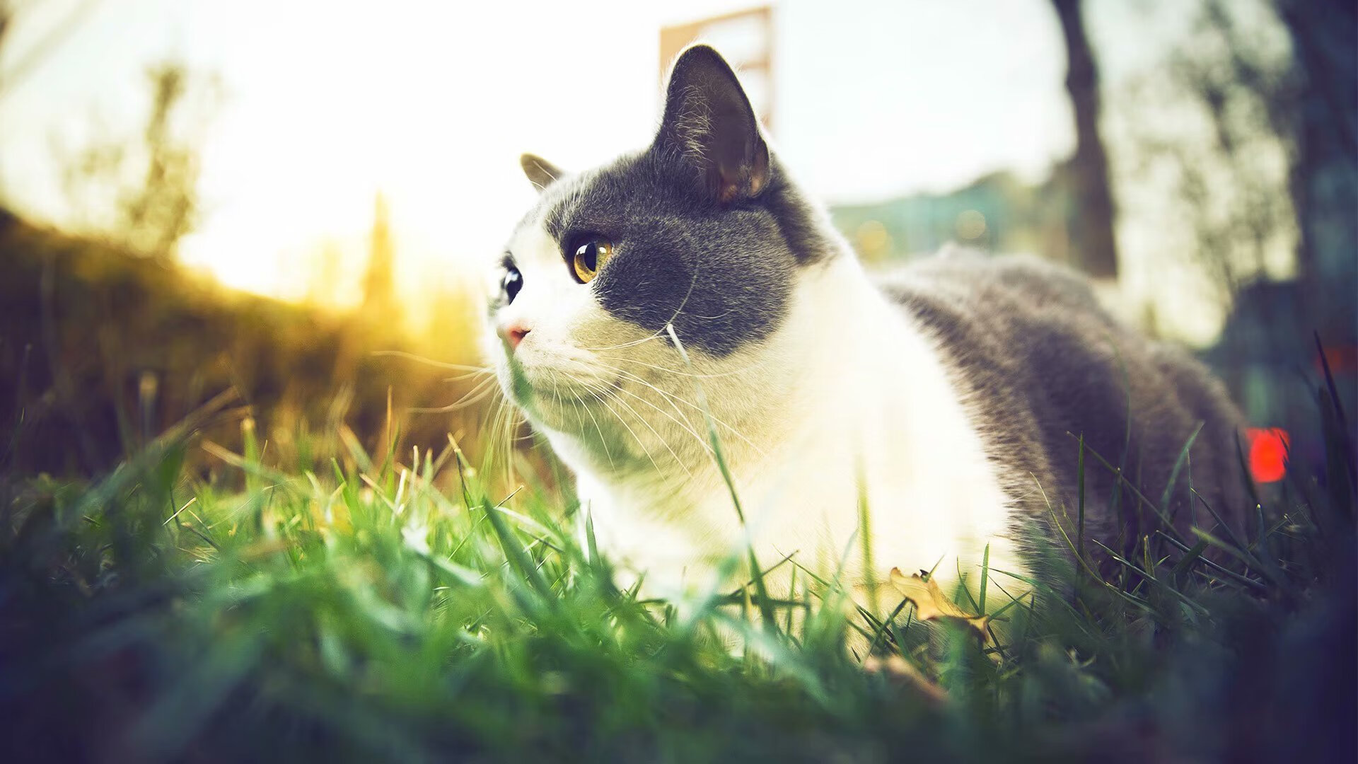 稳态宇宙的裂痕，当塔图姆的恒纪元遭遇活塞制造的太阳风暴