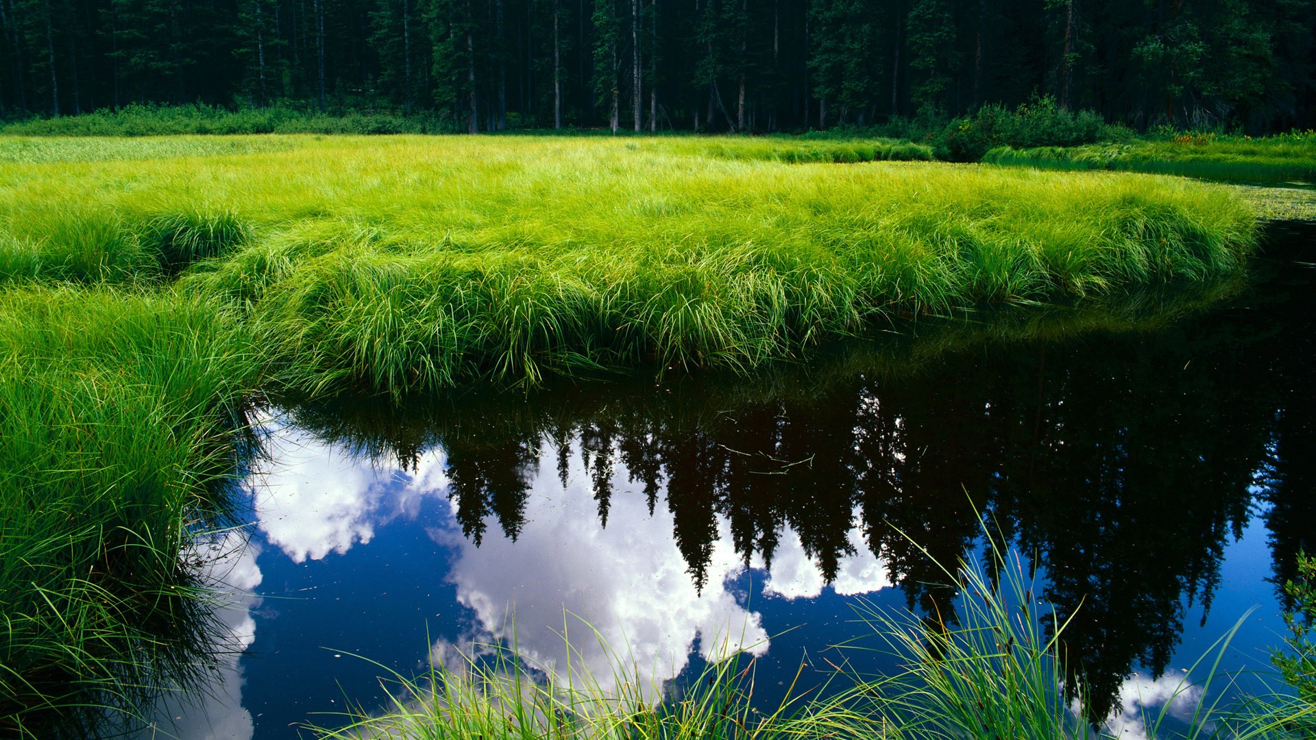 跨界传奇，巴萨节奏掌控玻利维亚，李刚仁在NBA季后赛的足球式接管