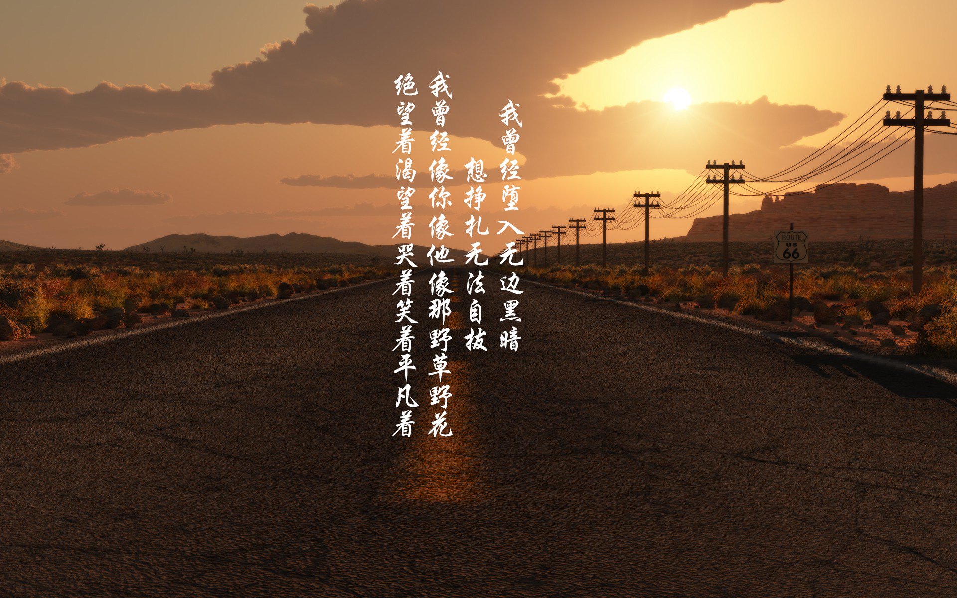 铁壁封锁南美风暴，齐耶赫导演致命一击，荷兰在2026世界杯D组关键战中险胜厄瓜多尔