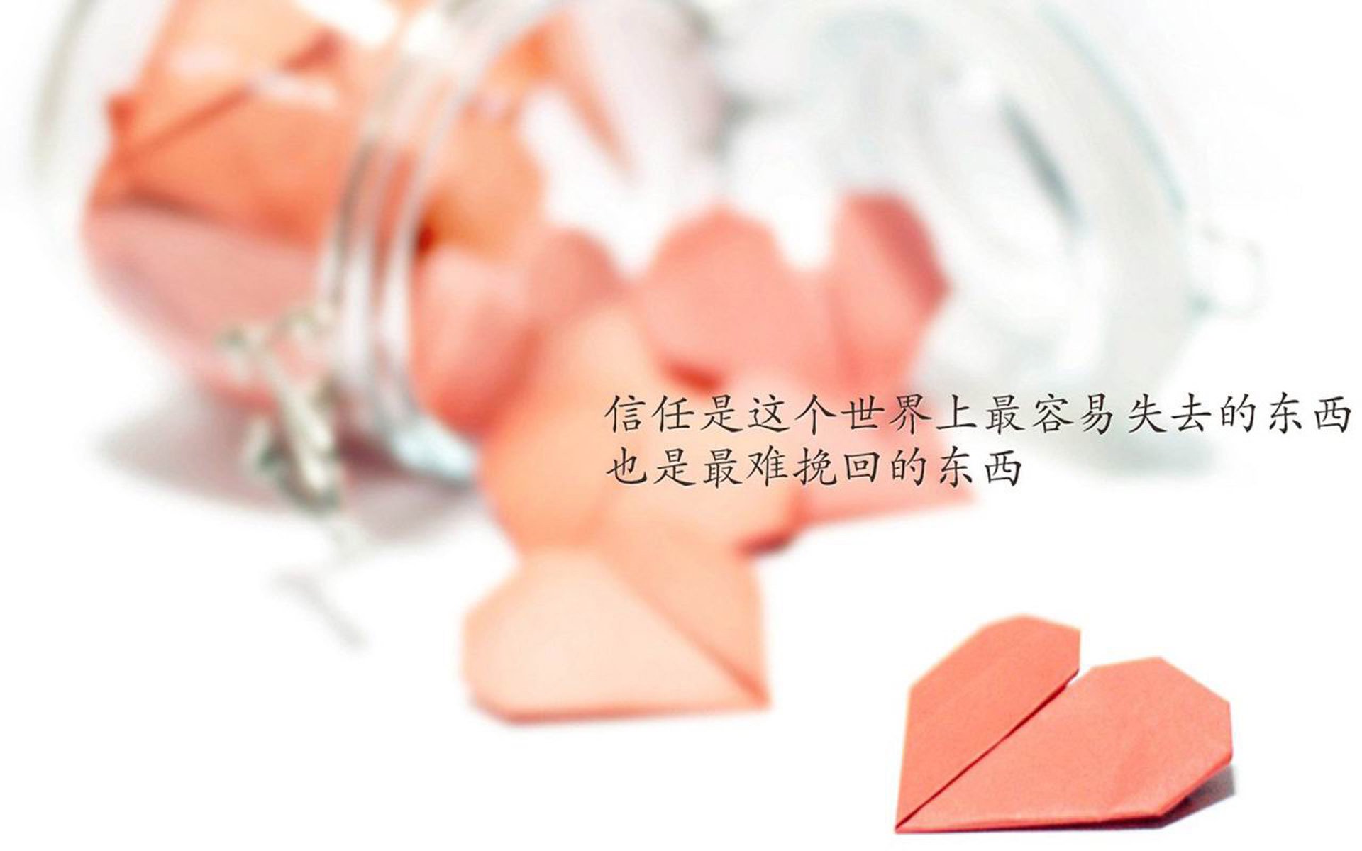 三狮破阵，斗牛士亮剑，2026世界杯G组生死战，英格兰力克印度，加维率队突围