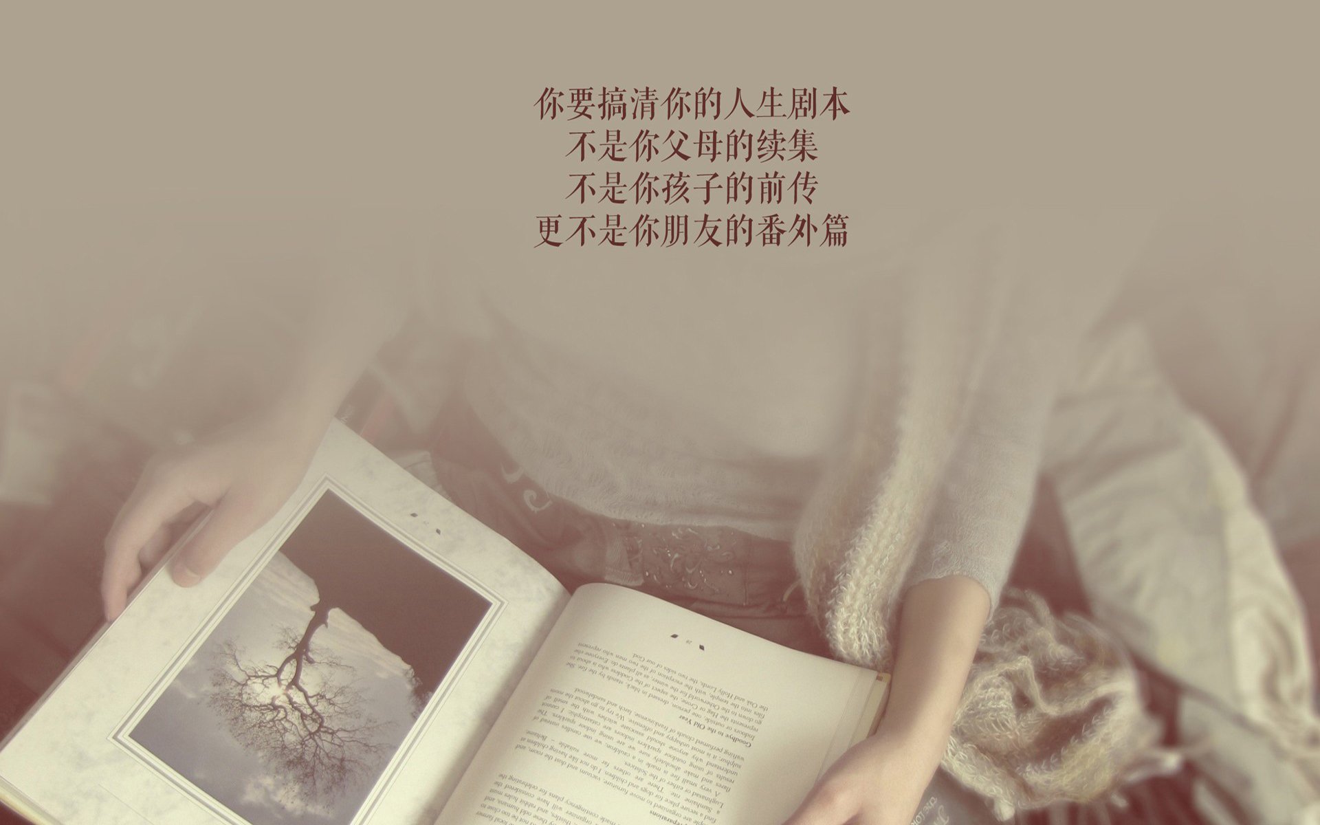 爱游戏娱乐-唯一之战，迪亚斯铁血令下，伊朗在2026世界杯B组关键战完胜喀麦隆